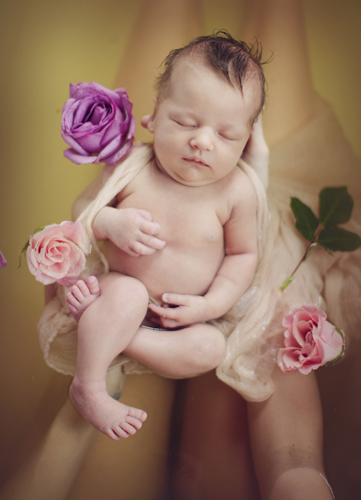 charlotte newborn photographer 14