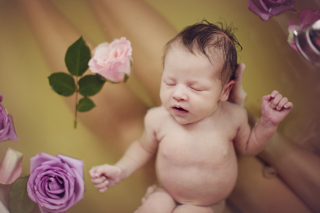 charlotte newborn photographer 17