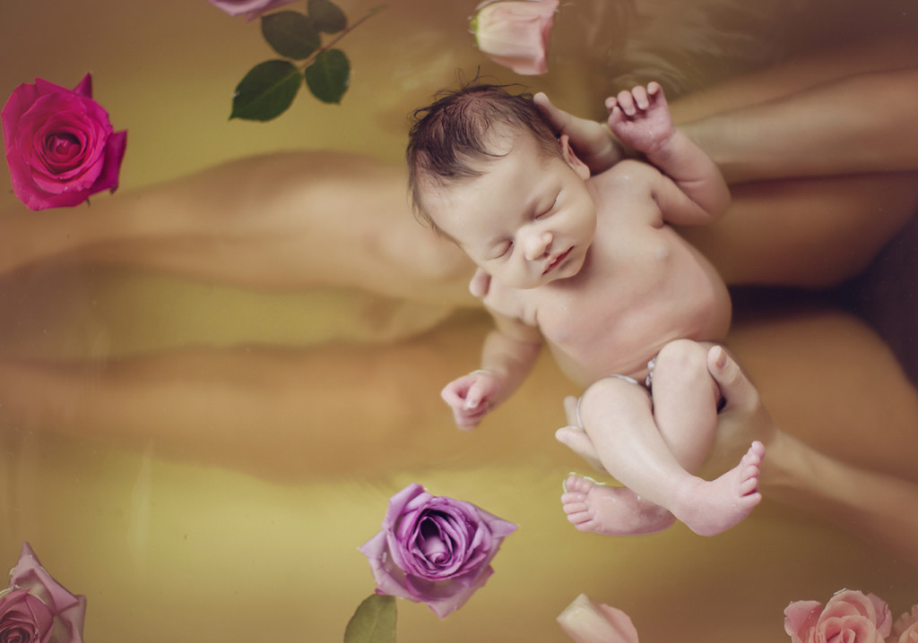 charlotte newborn photographer 19