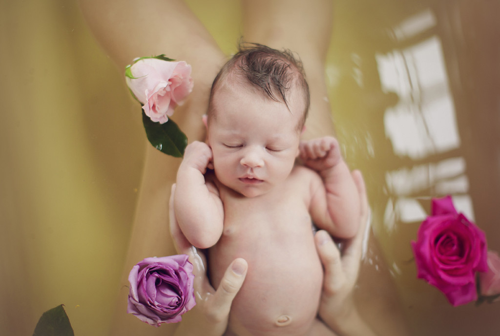 charlotte newborn photographer 2